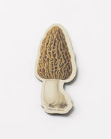 Morel Mushroom Magnet