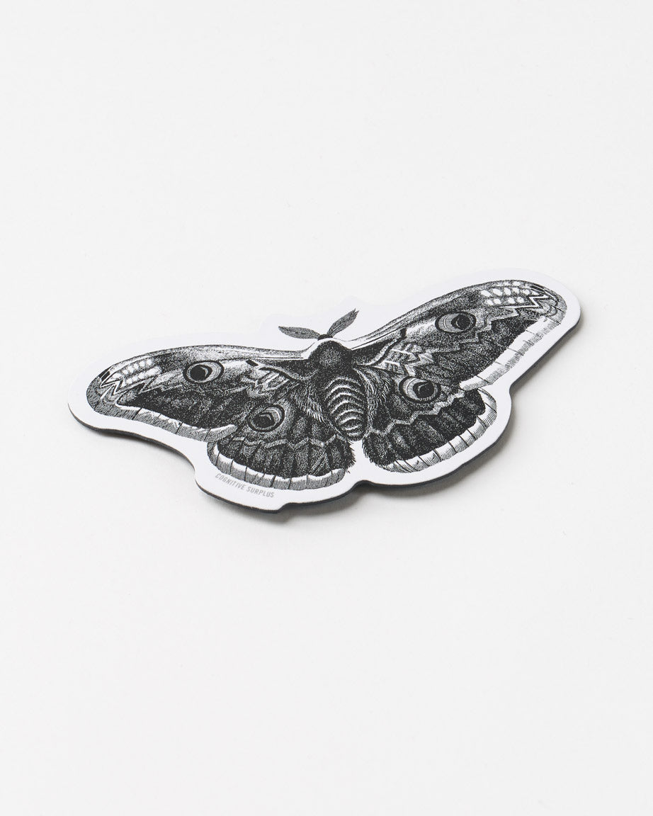 Moth Magnet