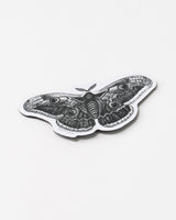 Moth Magnet
