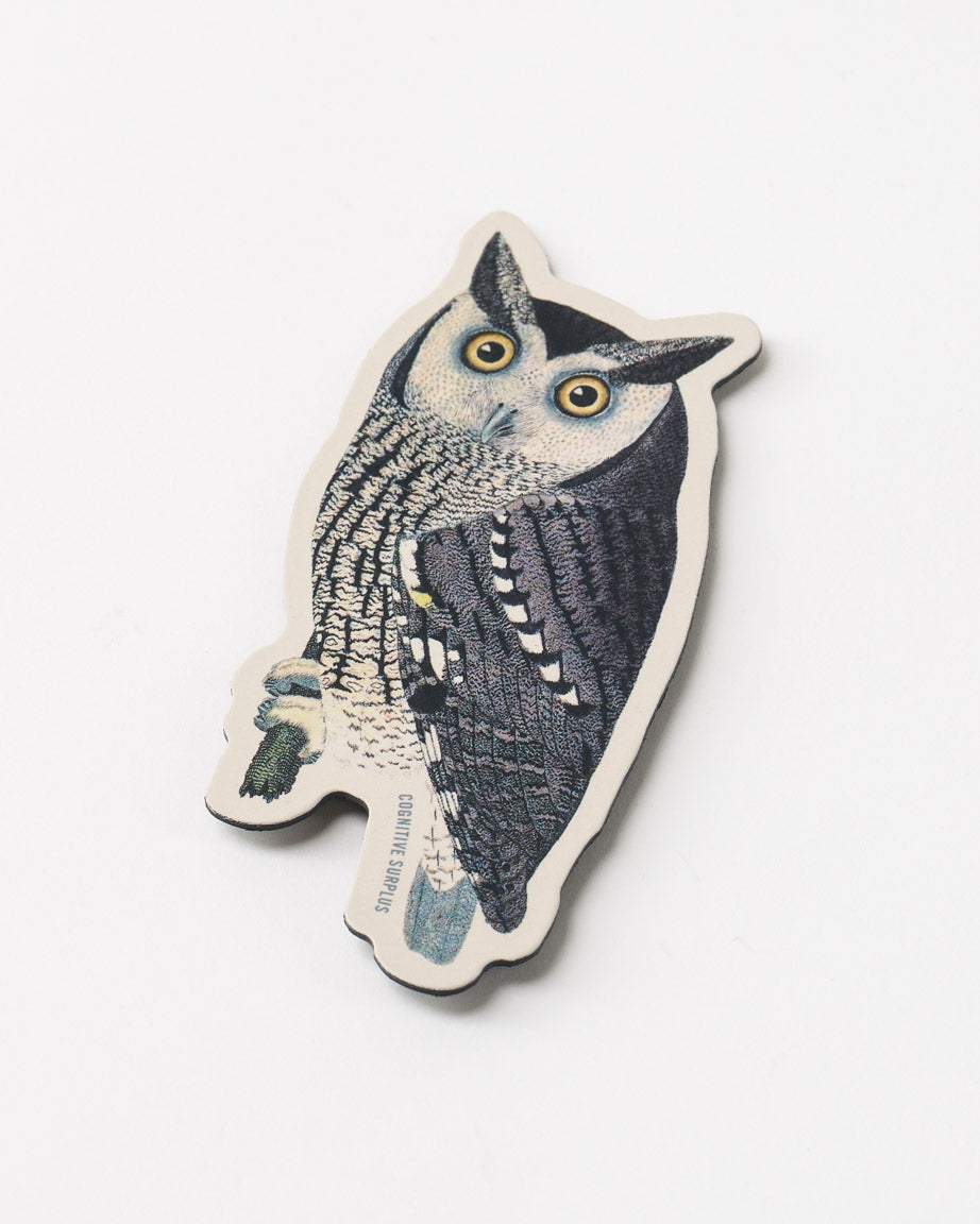 Mottled Owl Magnet