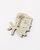 Bacteriophage Magnet