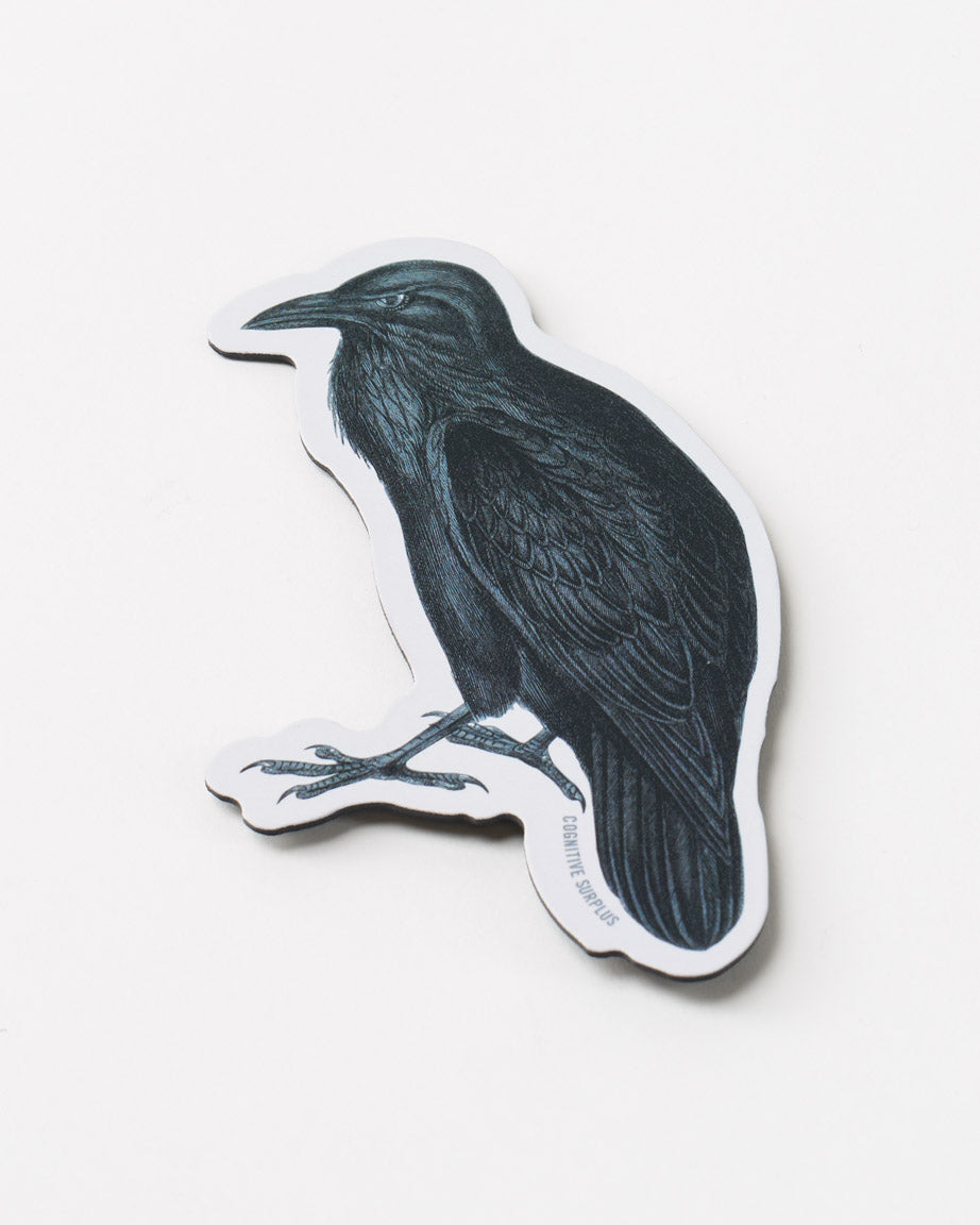 MnRaven_01.jpg