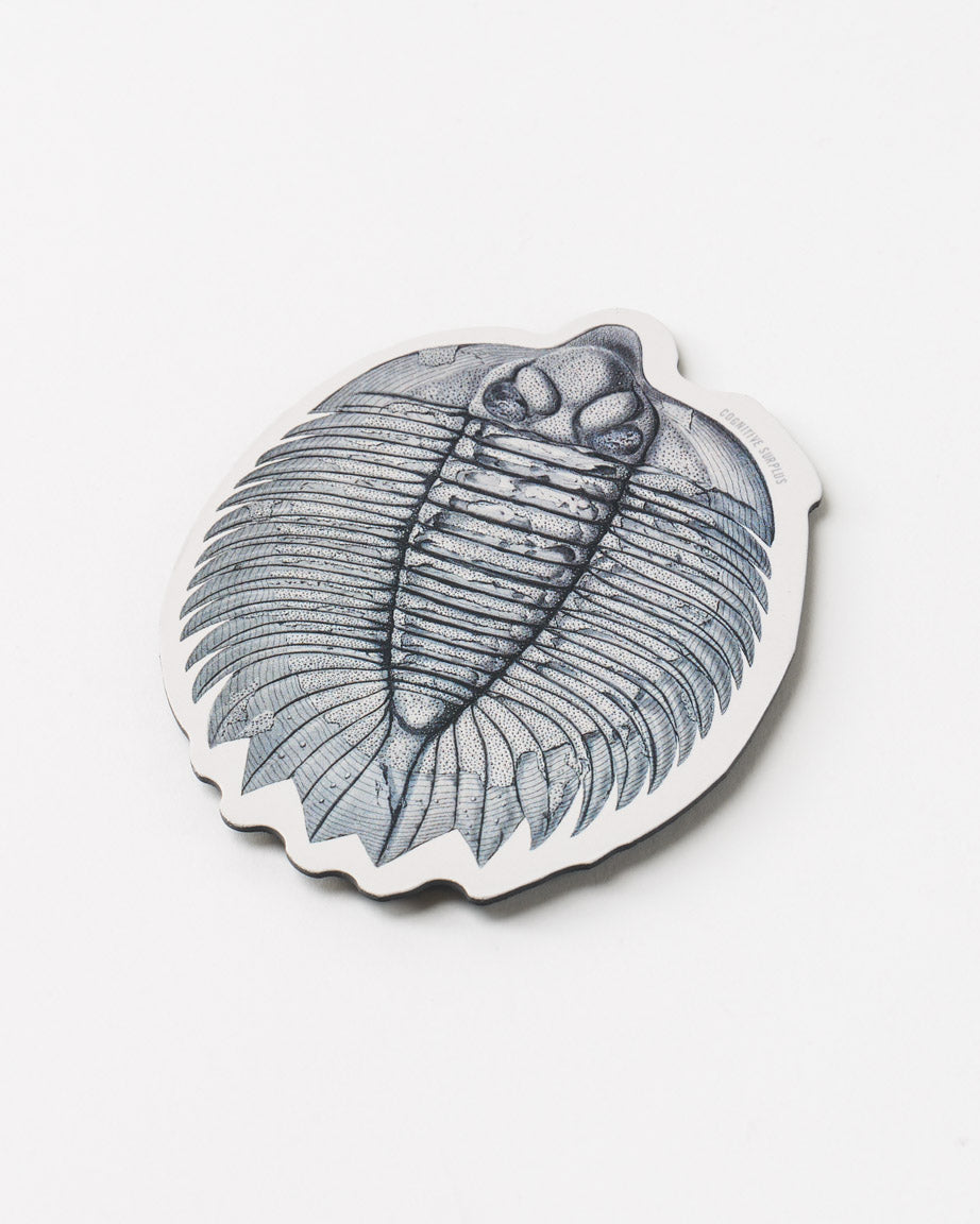 Trilobite Fossil Magnet