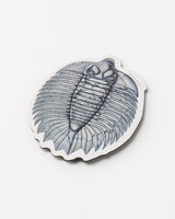 Trilobite Fossil Magnet