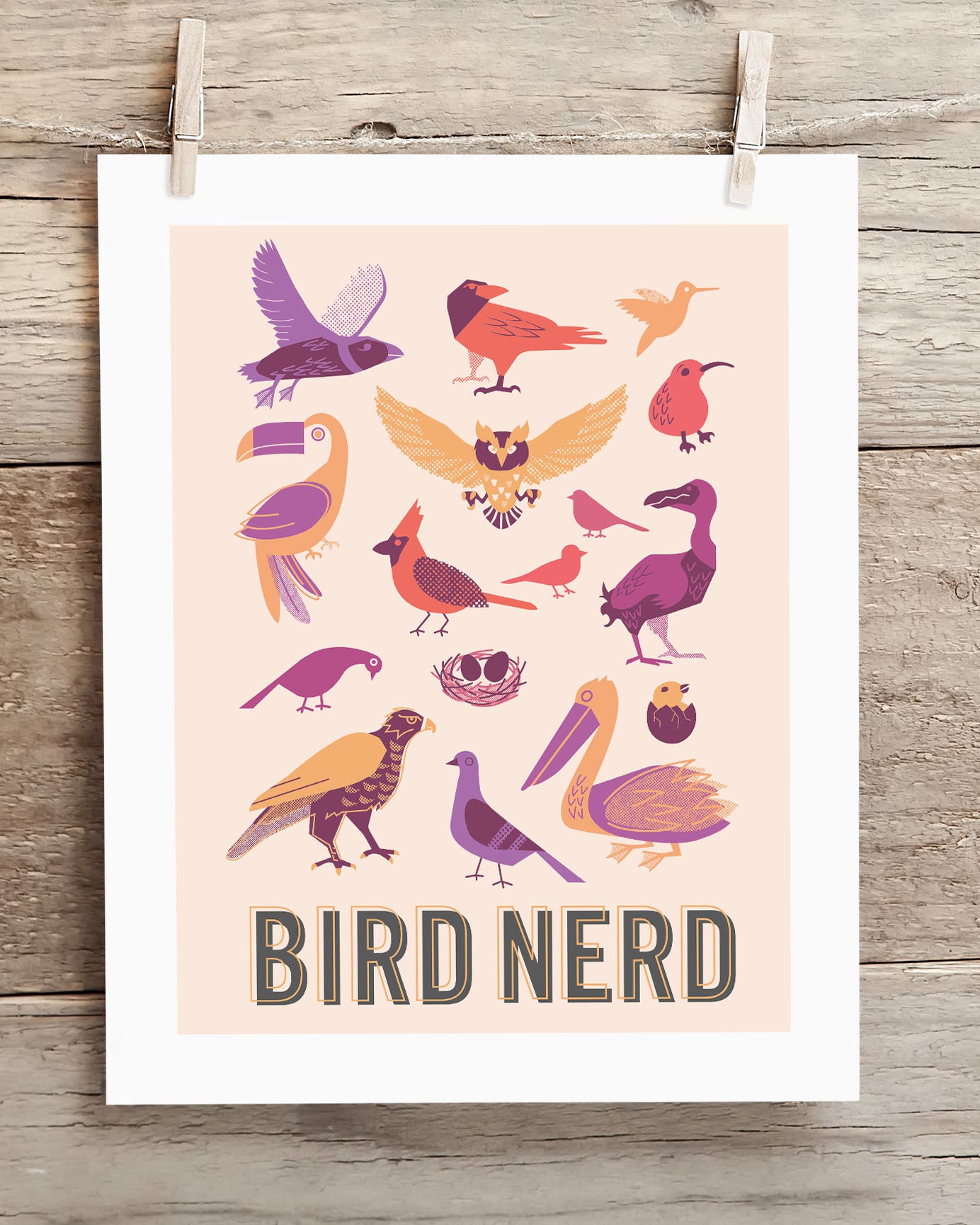 Mp8_BirdNerd_LS2.jpg