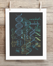 Genetics Scientific Illustration Museum Print
