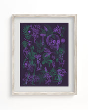 Poisonous Plants Pl 2 Scientific Illustration Museum Print