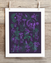 Poisonous Plants Pl 2 Scientific Illustration Museum Print