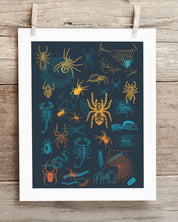 An art print of Spiders Pl 2 Scientific Illustration Museum Print by Cognitive Surplus hanging on a clothesline.