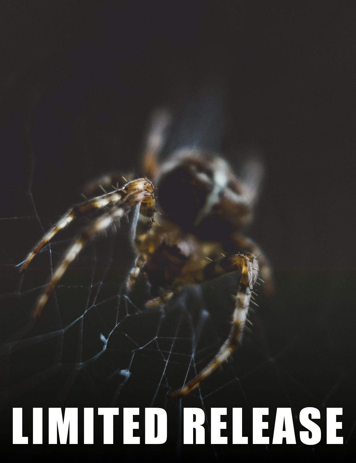 OCTCreepsandEeepsMFPPicture.png