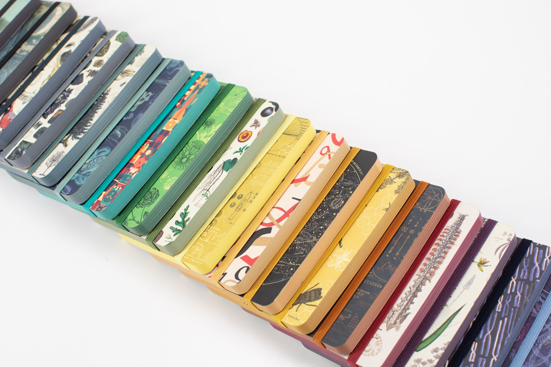 Observation Mystery Notebook 6-pack