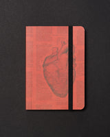 Anatomical Heart Dark Observation Softcover