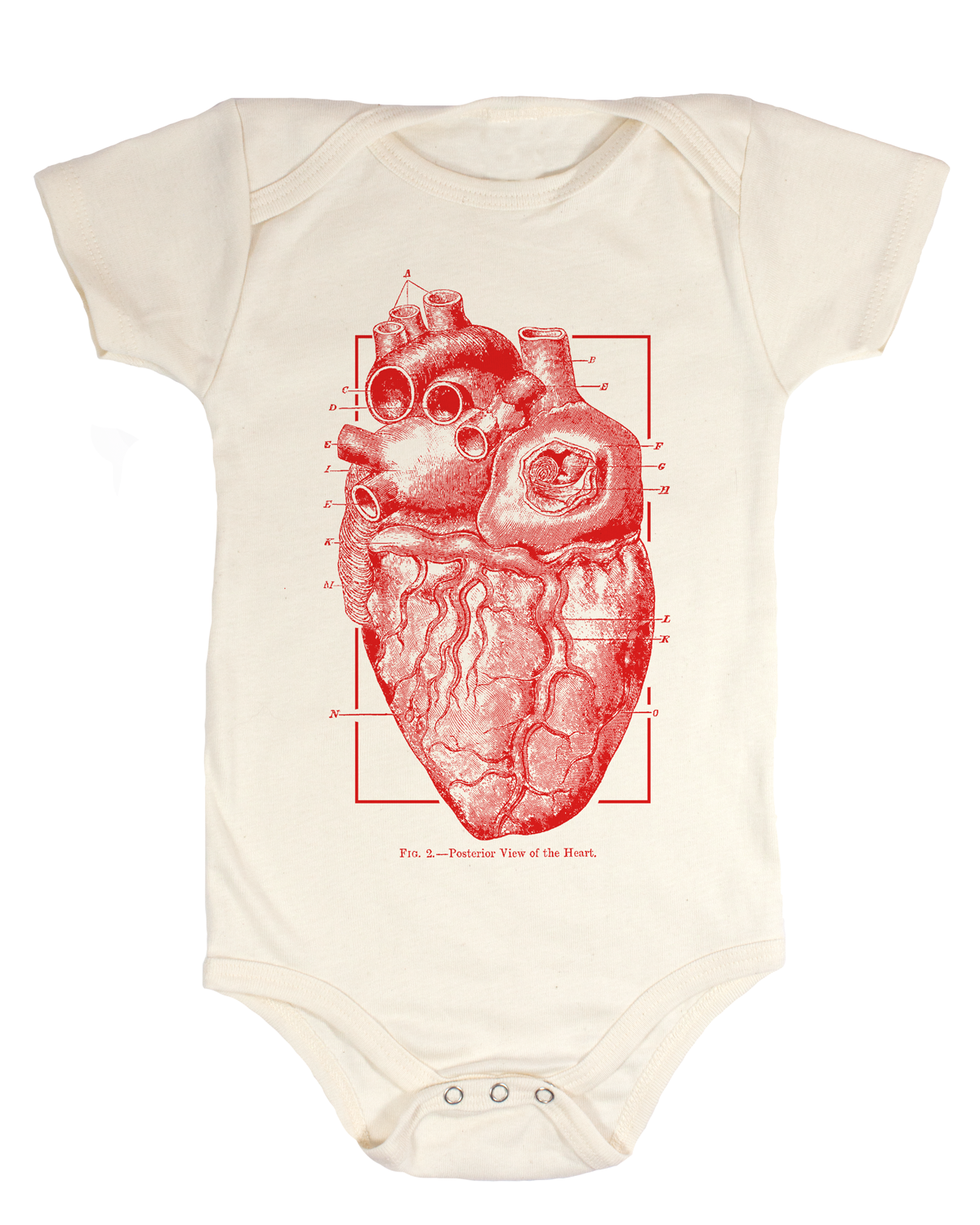 Onesie_Heart_1200x_c3f51af5-6c7a-44a3-baf6-5725b9780abc.png