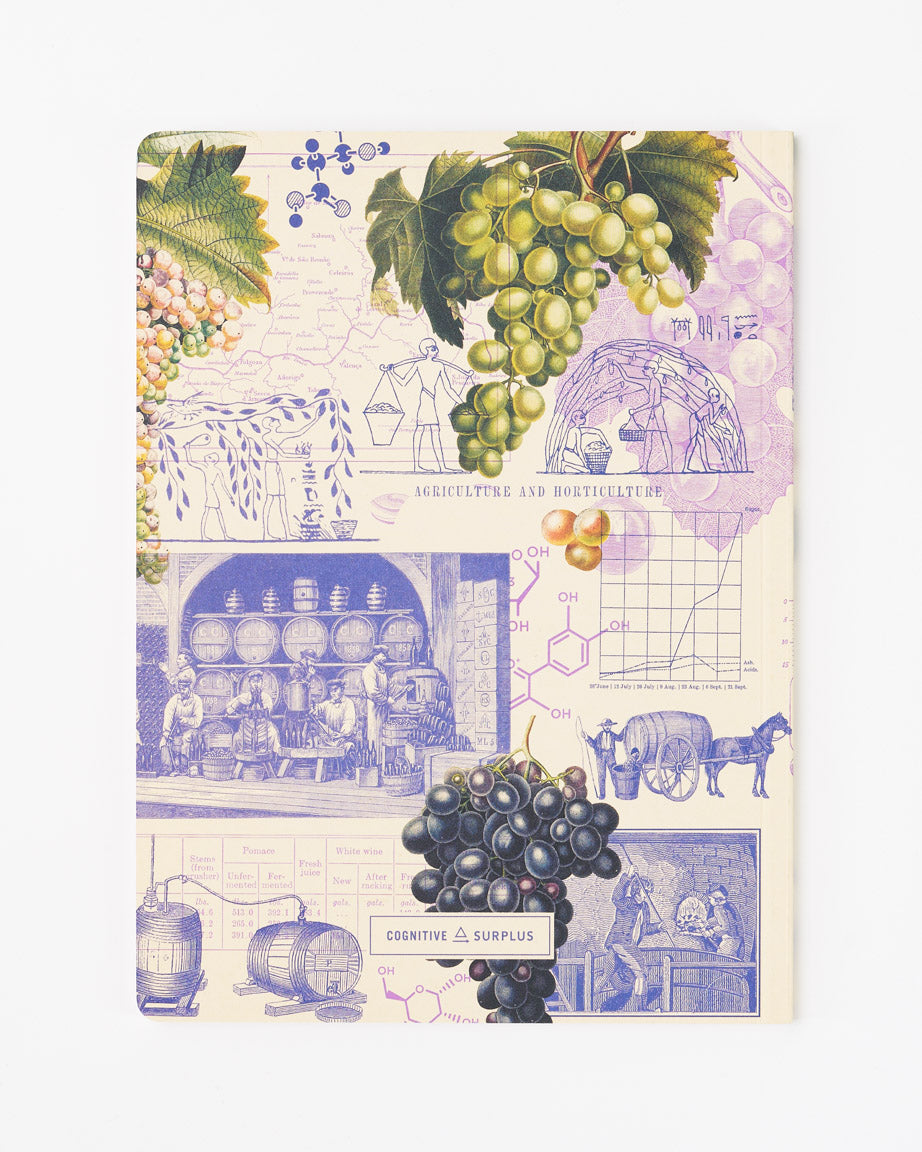 ScWine_2_1.jpg