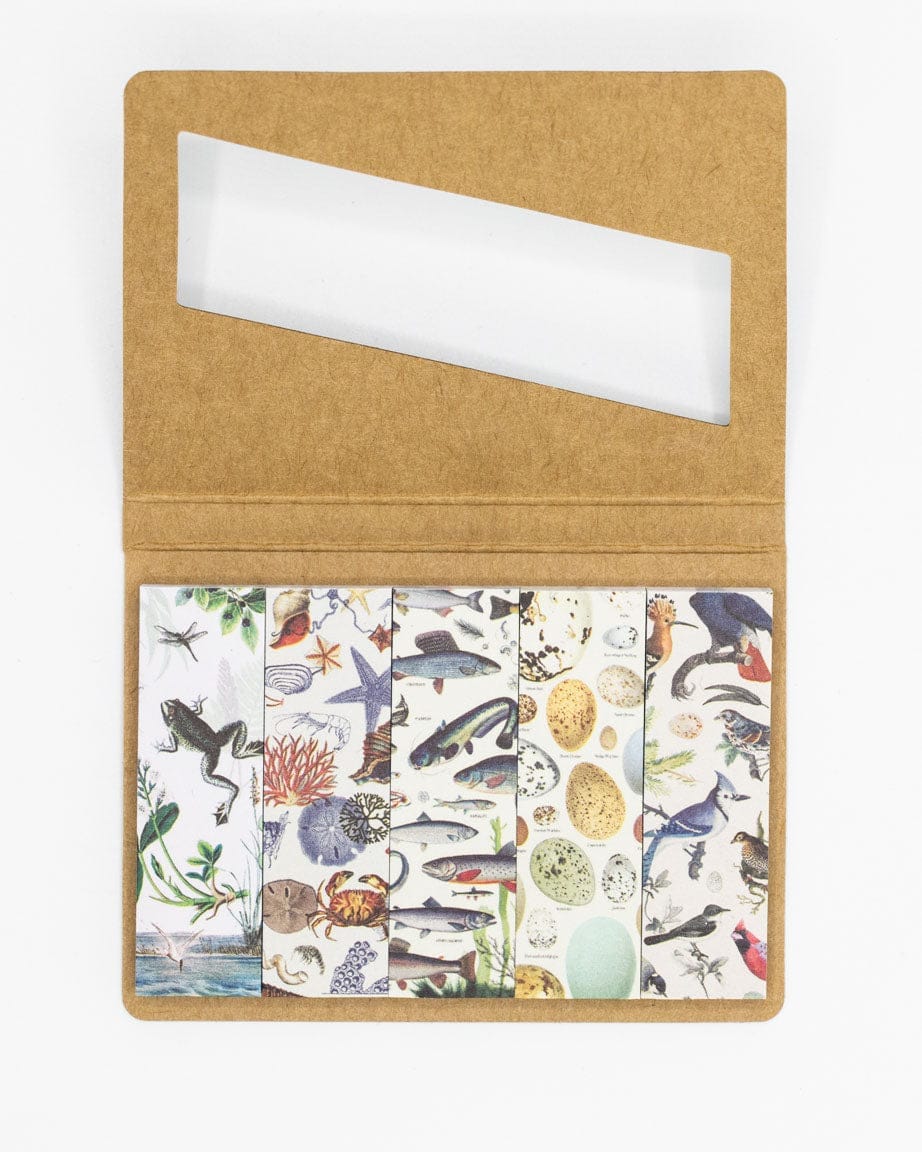 Shoreline-Page-Flags-Cognitive-Surplus-908.jpg