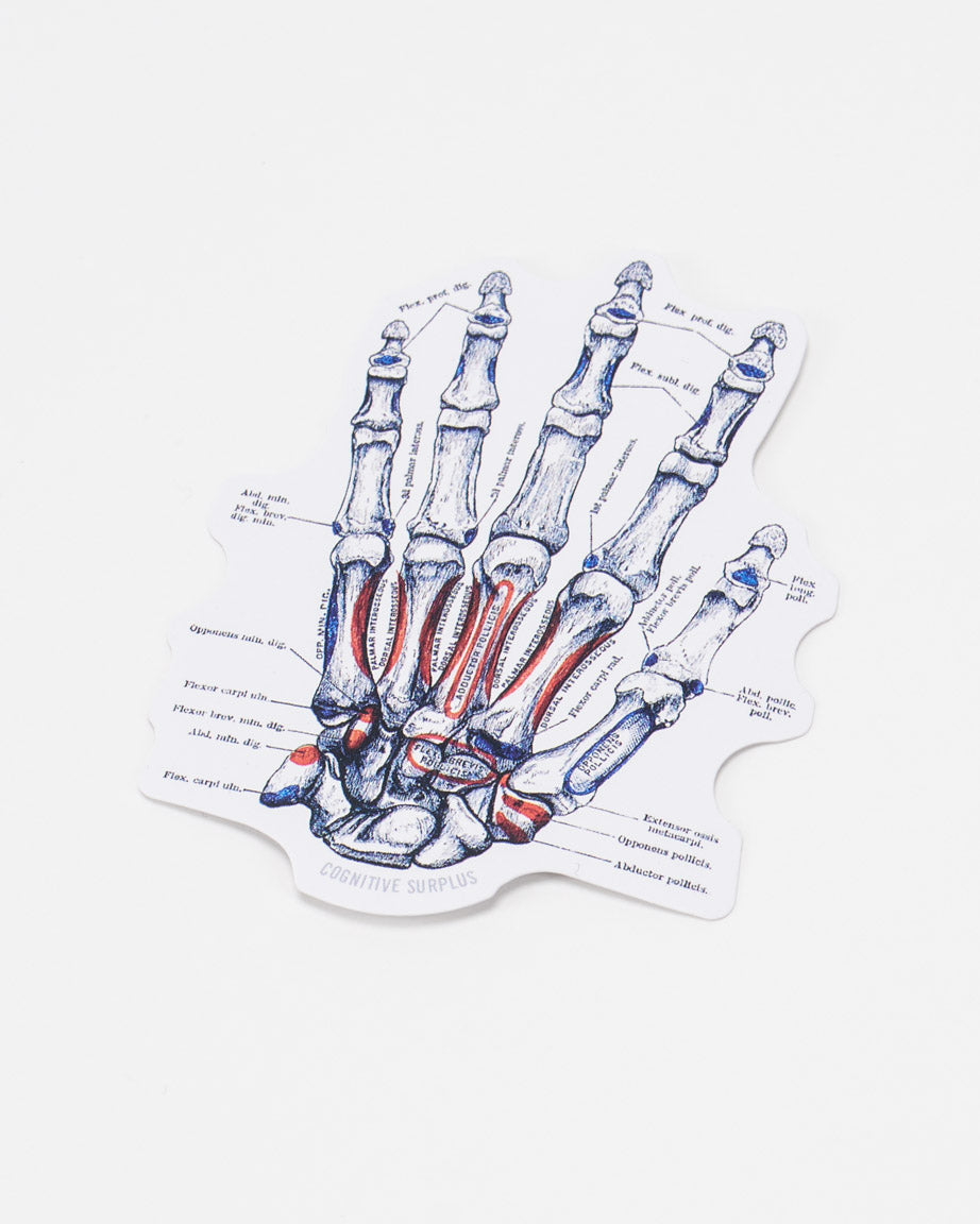 StBoneHand_01_1.jpg