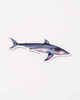 Great White Shark Sticker (Carcharodon carcharias)