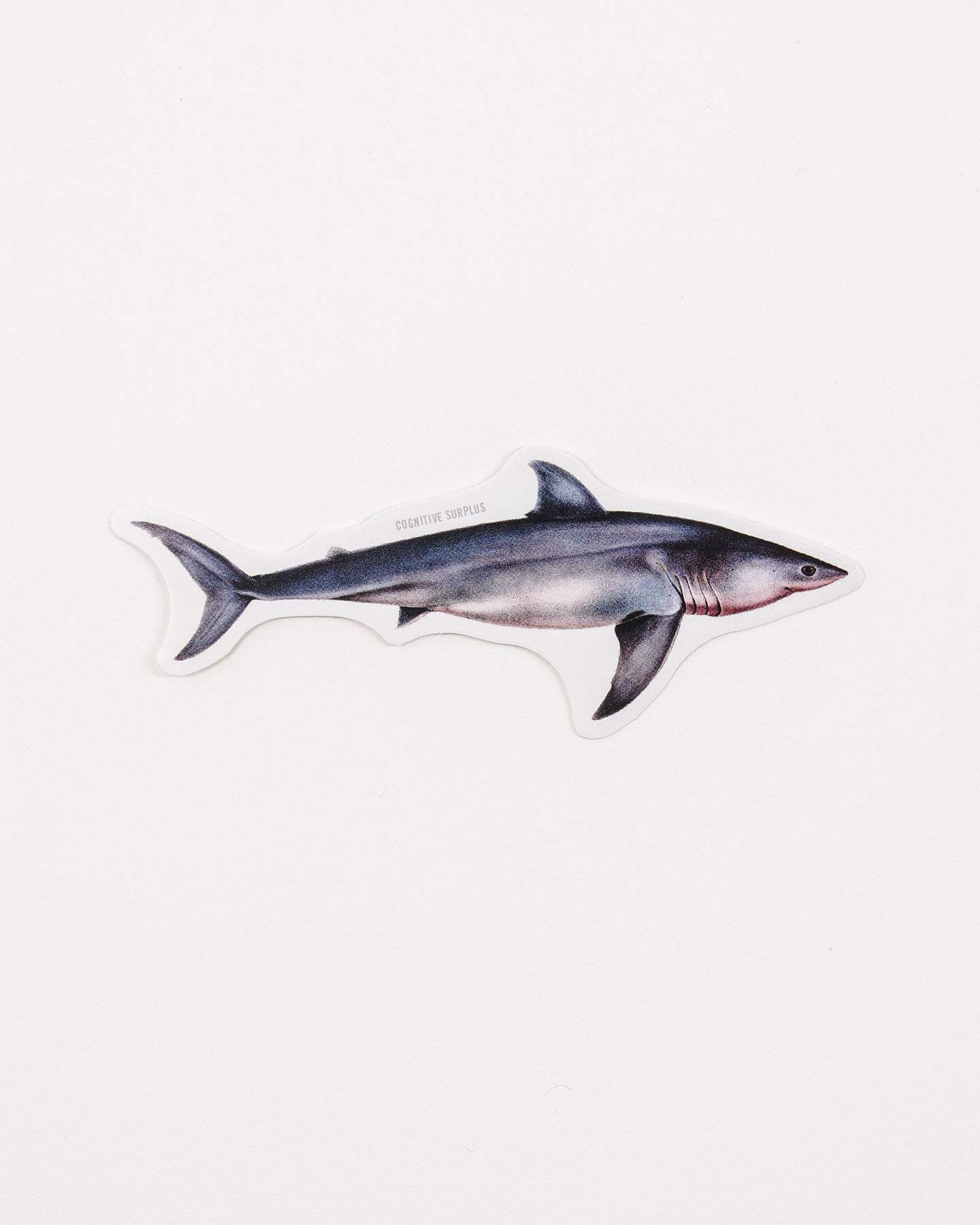 StGreatWhite_2.jpg