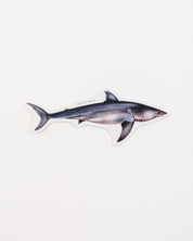 Great White Shark Sticker (Carcharodon carcharias)