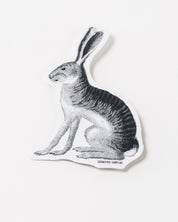 Jackrabbit Sticker (Lepus californicus)