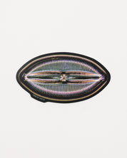 Microfossil Diatom Sticker (Lyrella hennedyi)