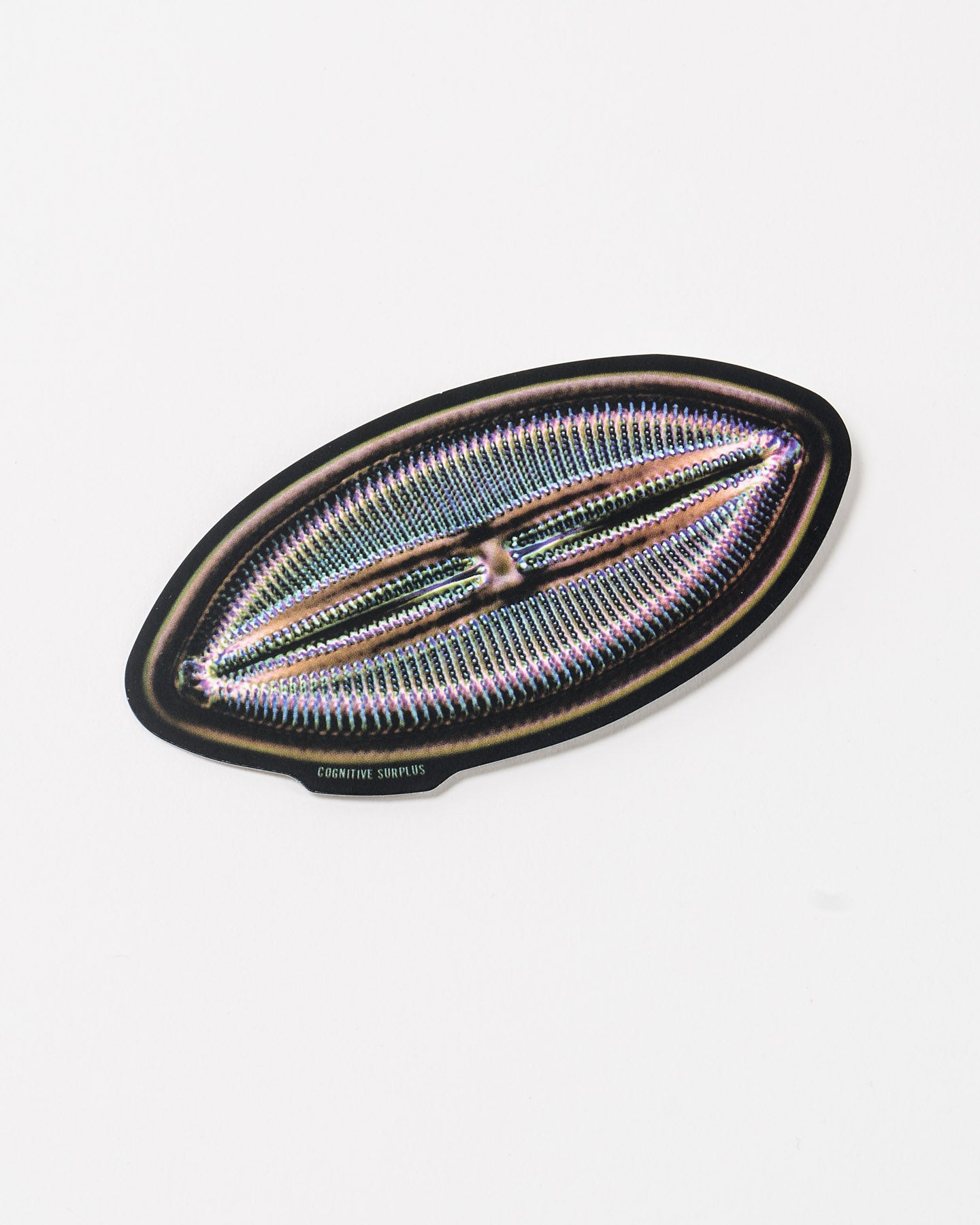 Microfossil Diatom Sticker (Lyrella hennedyi)