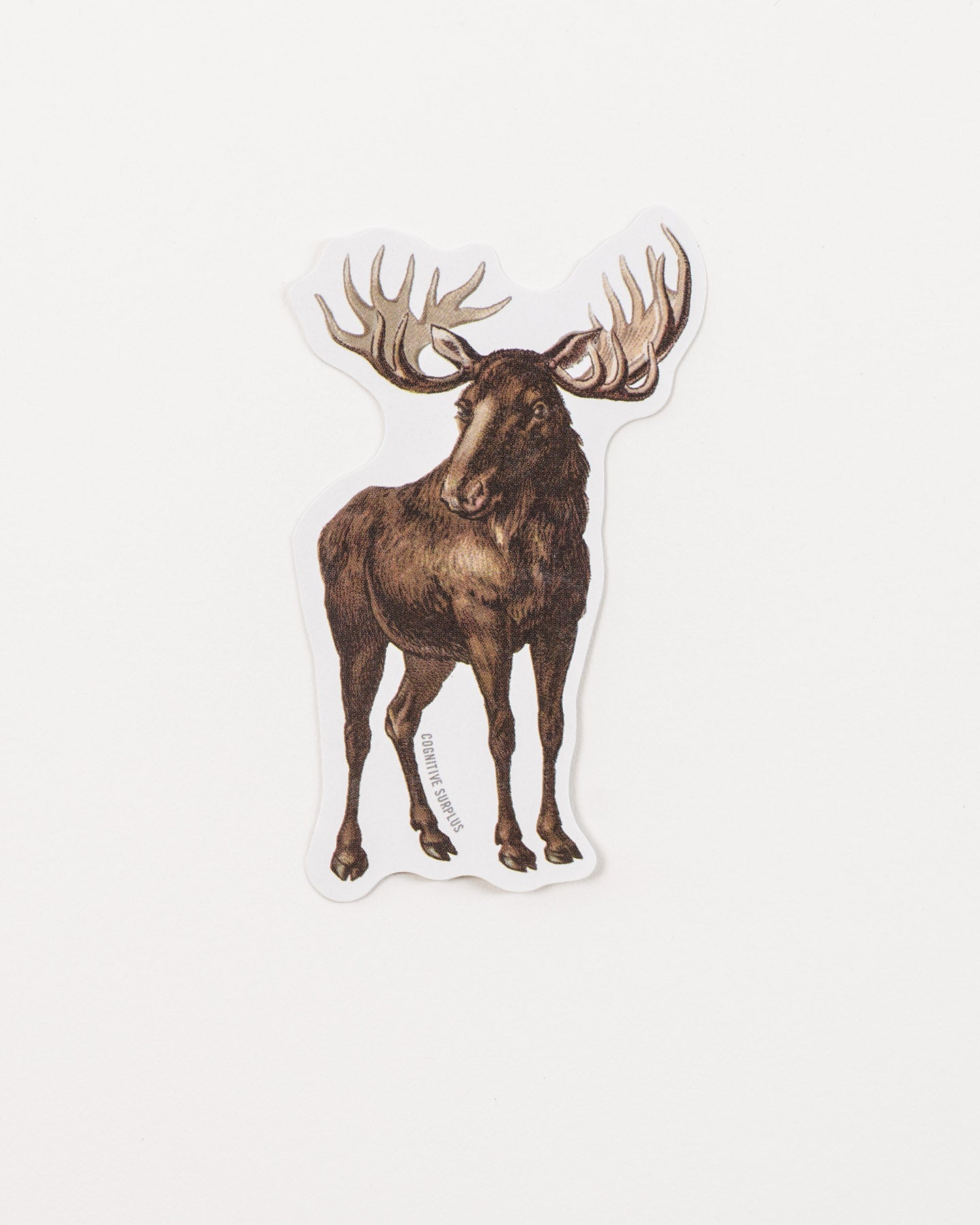 Moose Sticker (Alces alces)