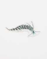 Sacoglossan Sea Slug Sticker (Elysia viridis)