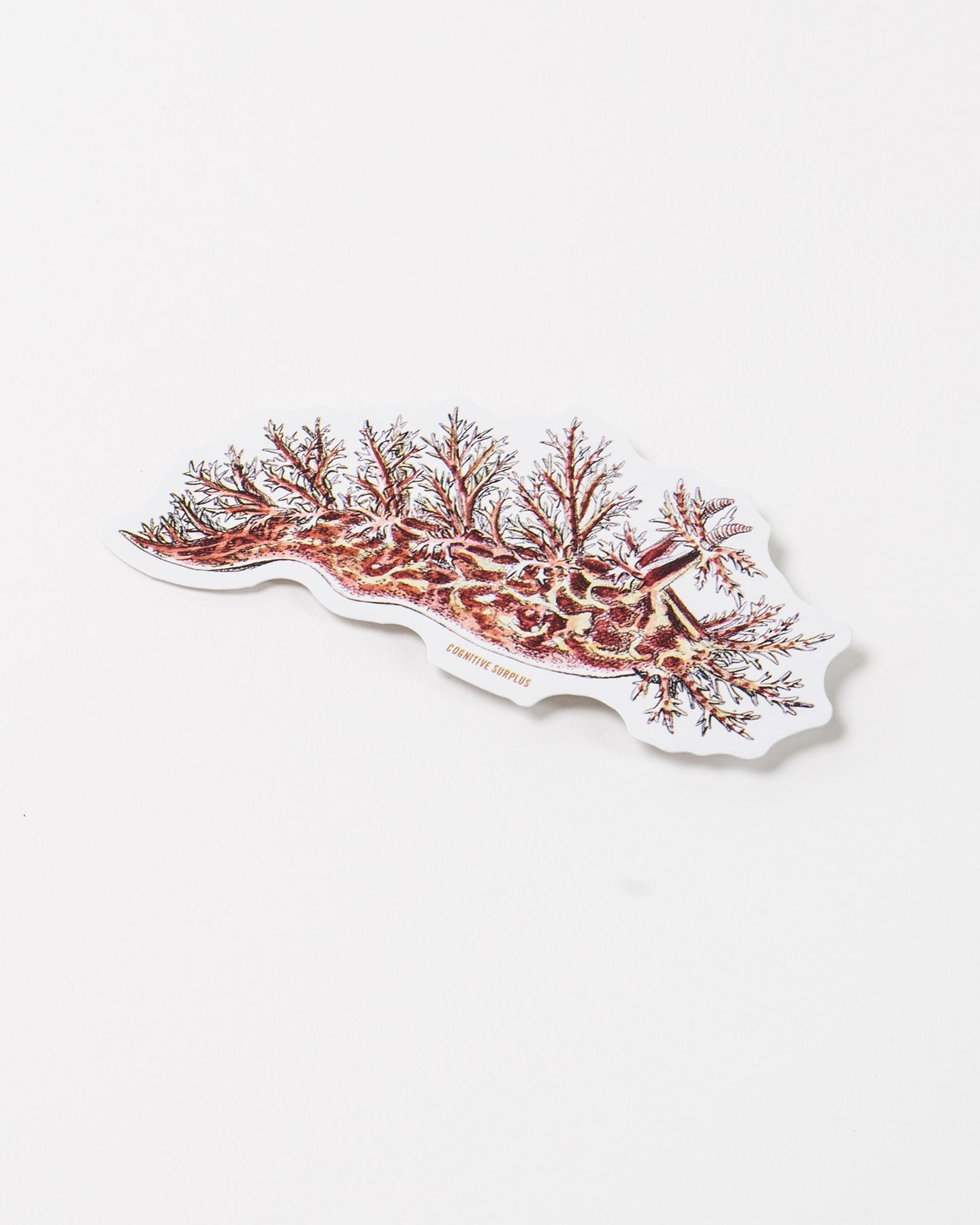 StNudi3_2.jpg