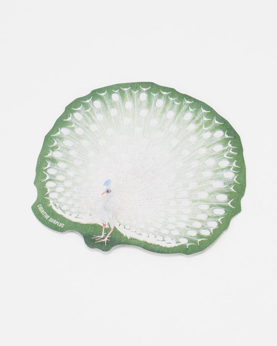 StPeacock_01.jpg