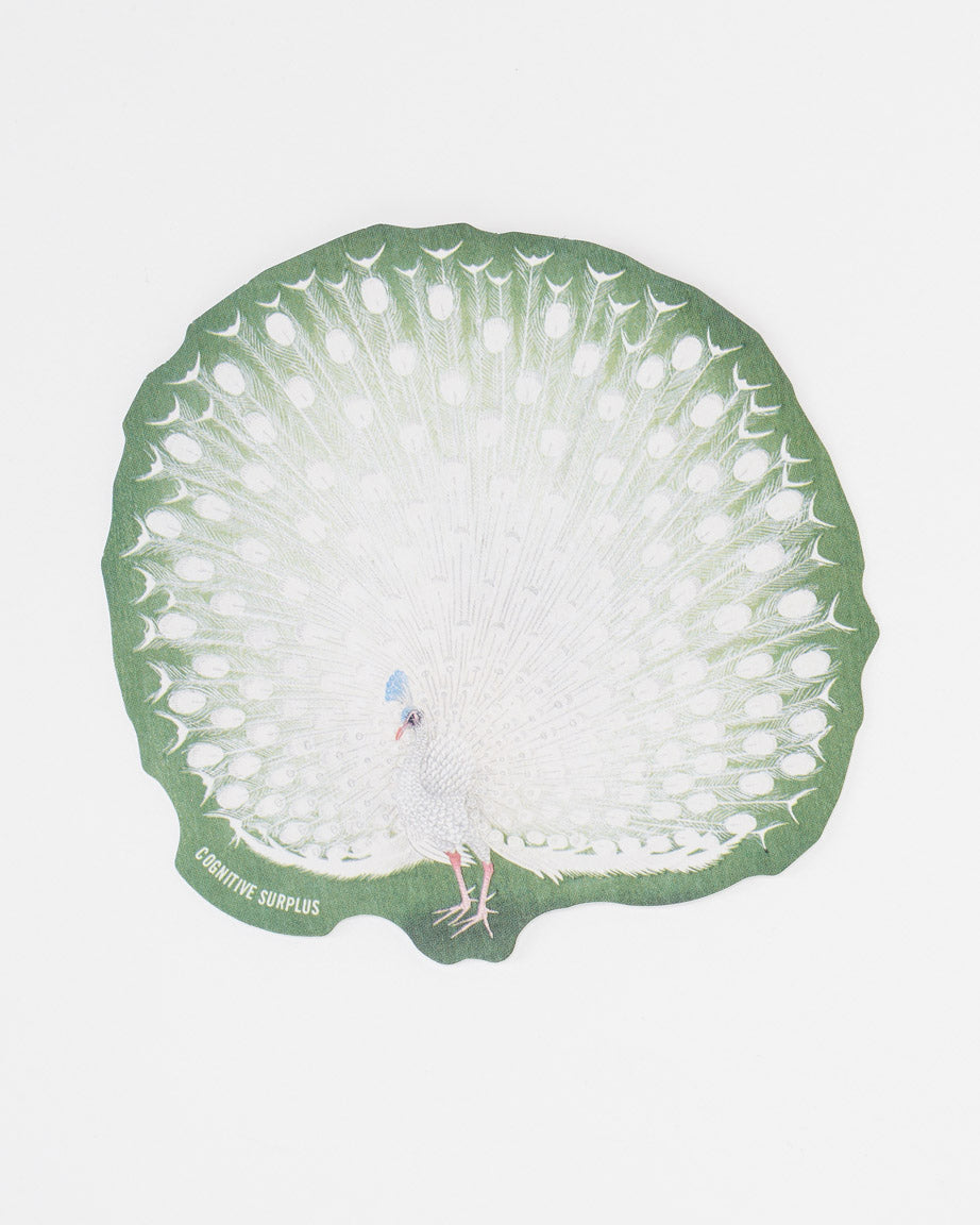 StPeacock_02.jpg