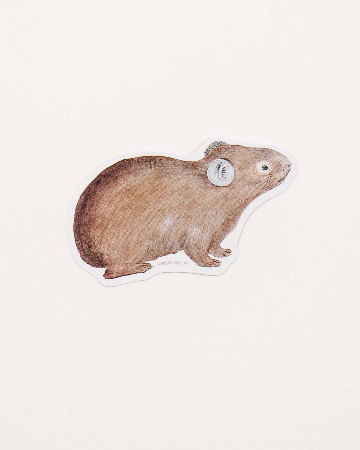 American Pika Sticker (Ochotona princeps)