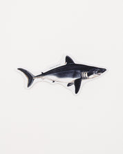 Porbeagle Shark Sticker (Lamna nasus)