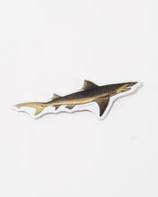 Sand Tiger Shark Sticker (Carcharias taurus)
