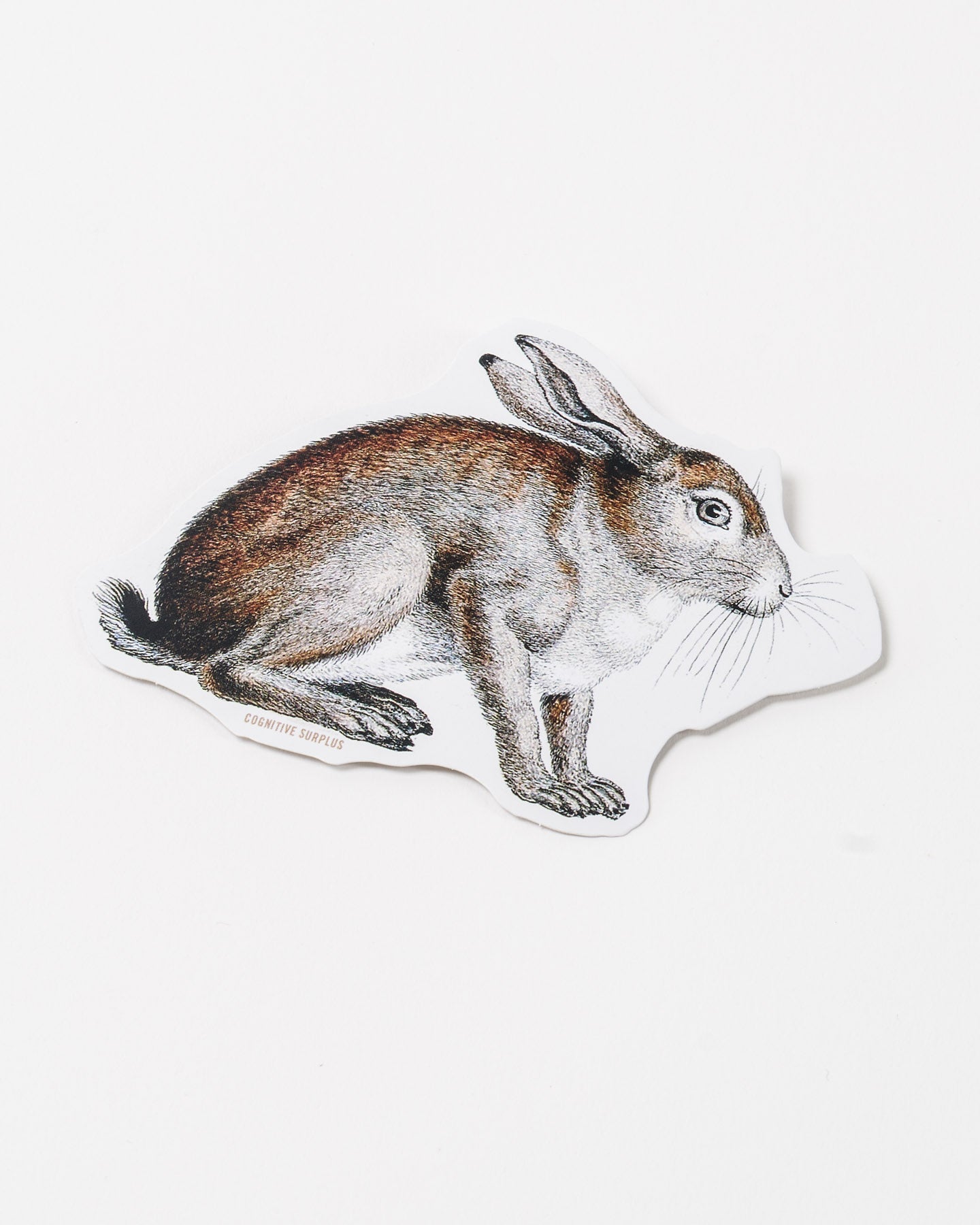 Snowshoe Hare Sticker (Lepus americanus)