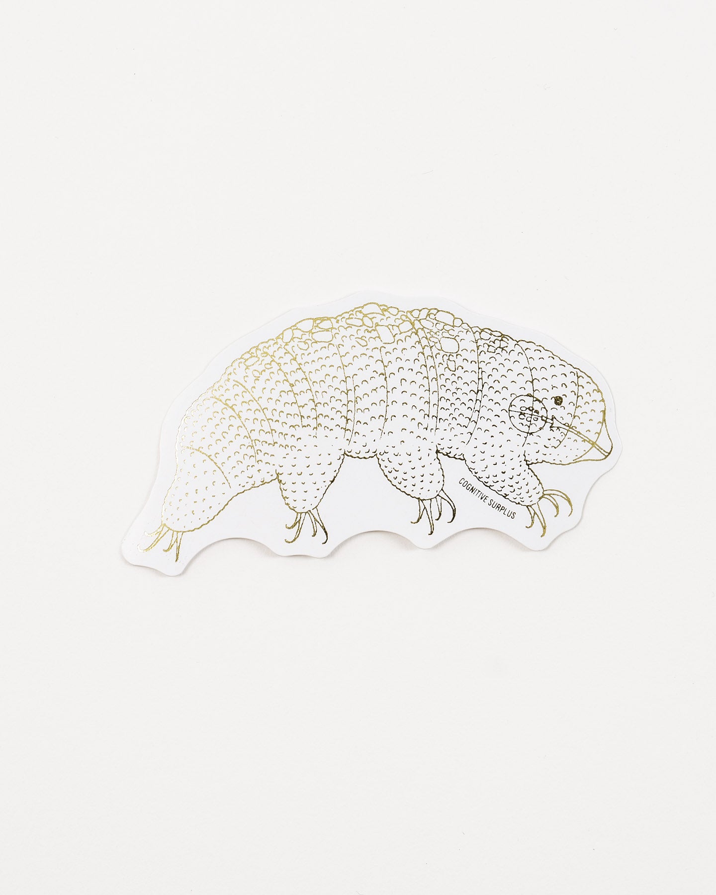 StTardigrade_1.jpg