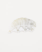 Tardigrade Sticker (Milnesium tardigradum)