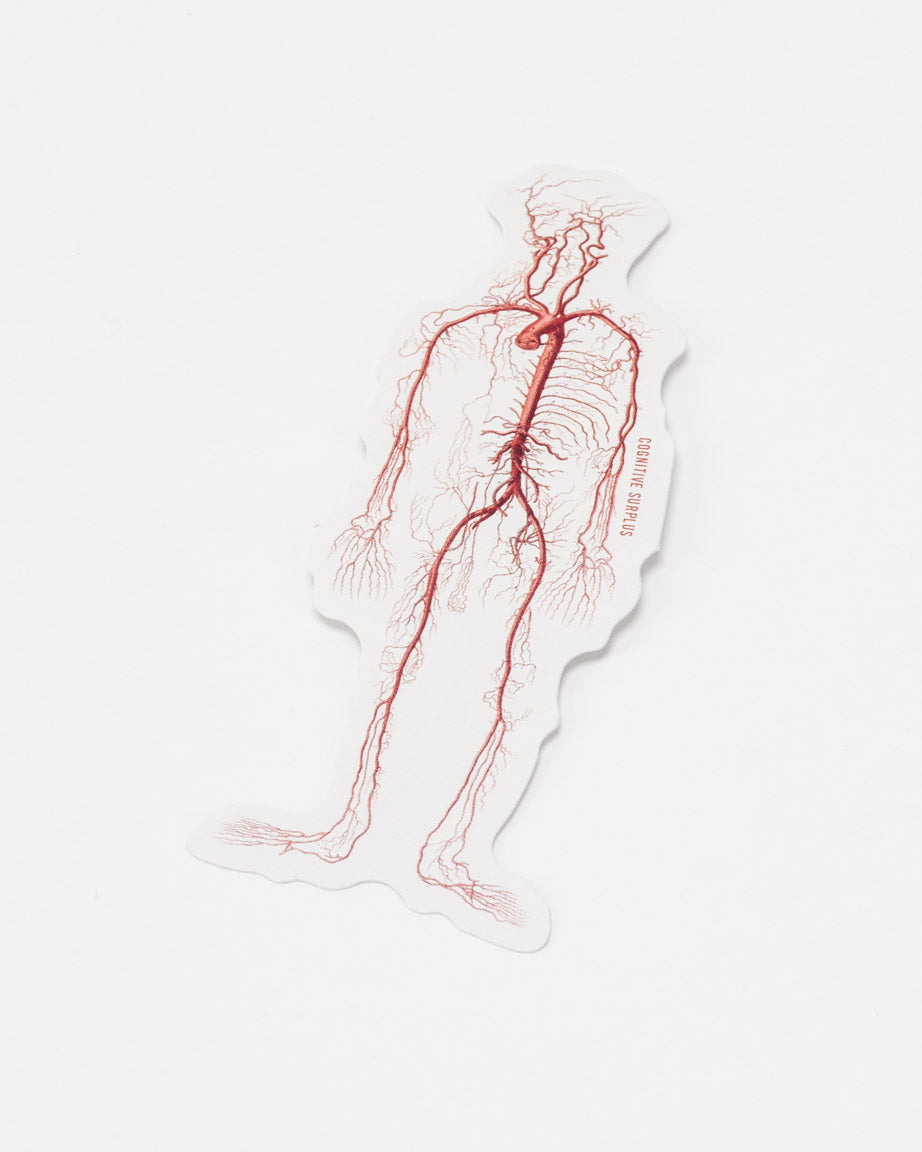 StVeins_01.jpg