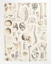 Skeleton Tea Towel