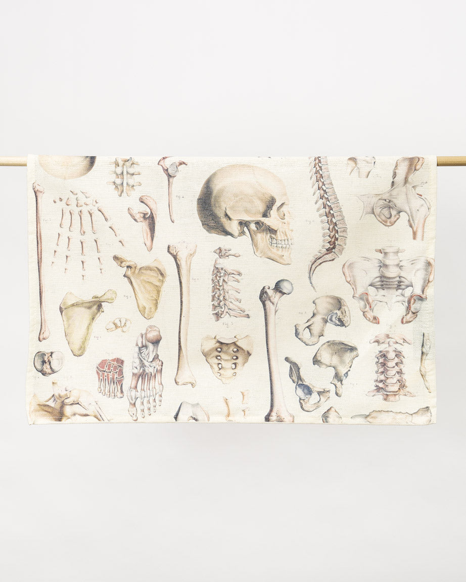 TtSkeleton_2_c8ed964d-cb33-456c-a6c4-dbcdb2c5aa94.jpg