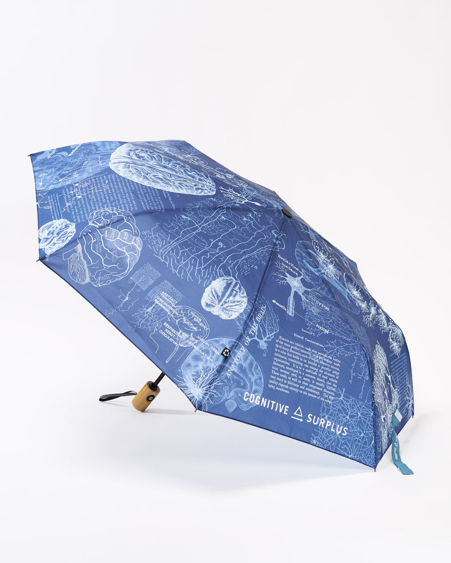 Brain Umbrella