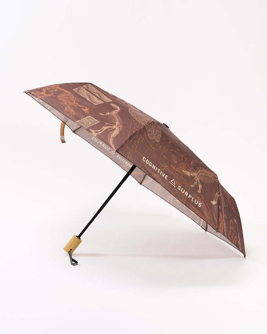 Dinosaur Umbrella
