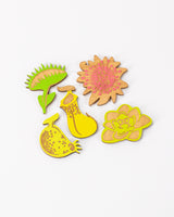 Carnivorous Plants Wooden Magnet Set