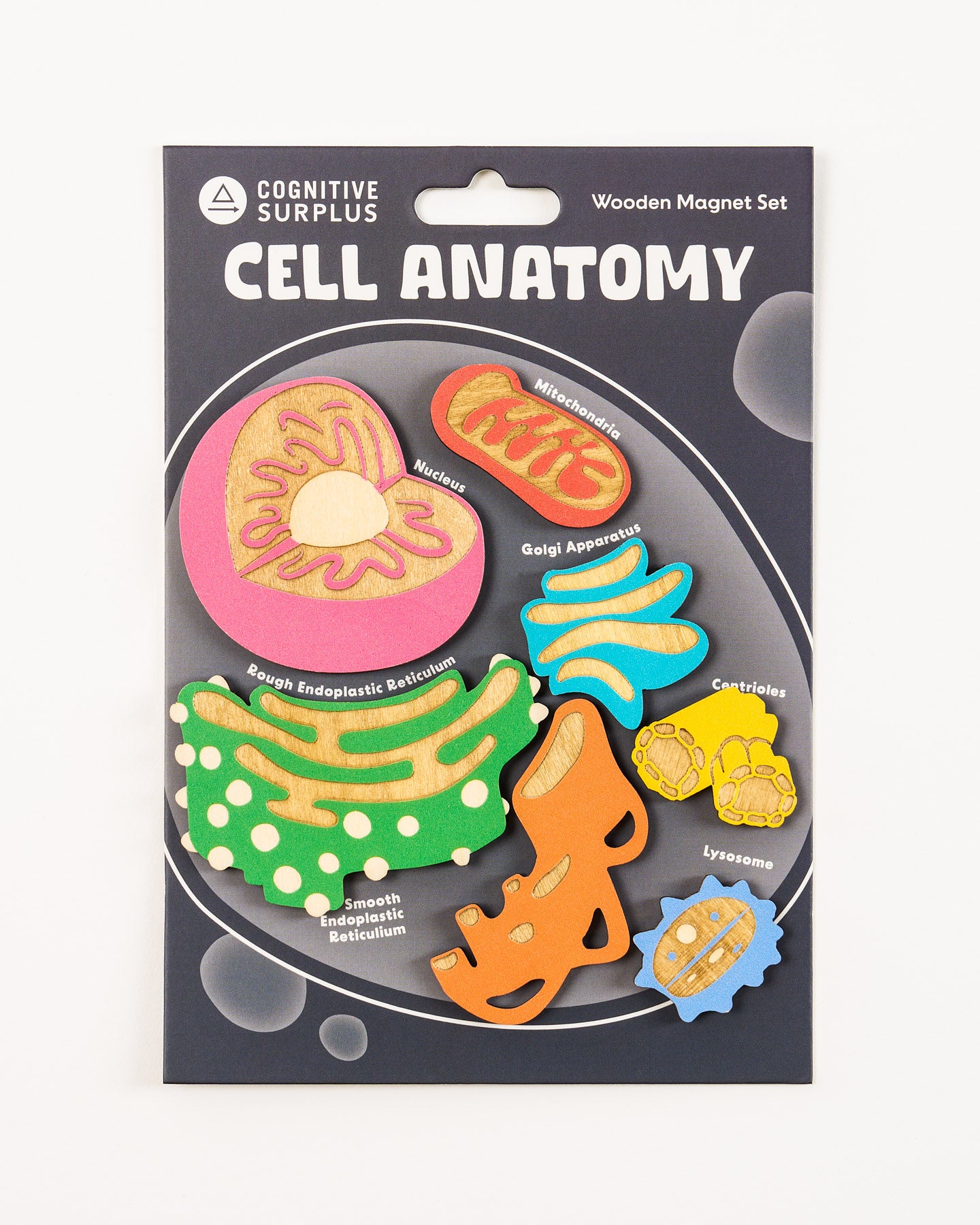 Cell Anatomy Wooden Magnet Set