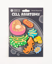 Cell Anatomy Wooden Magnet Set