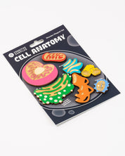 Cell Anatomy Wooden Magnet Set