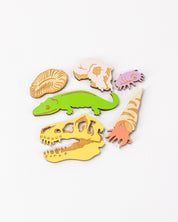 Core Sample Wooden Magnet Set