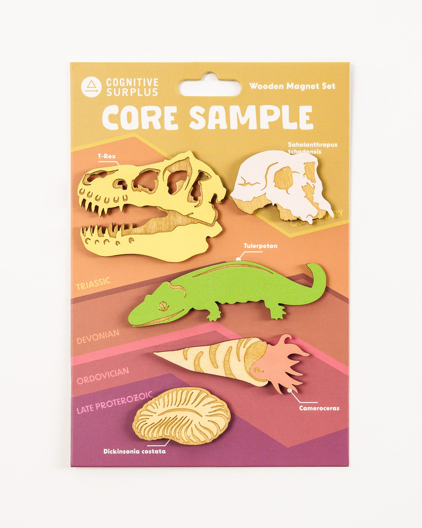 Core Sample Wooden Magnet Set