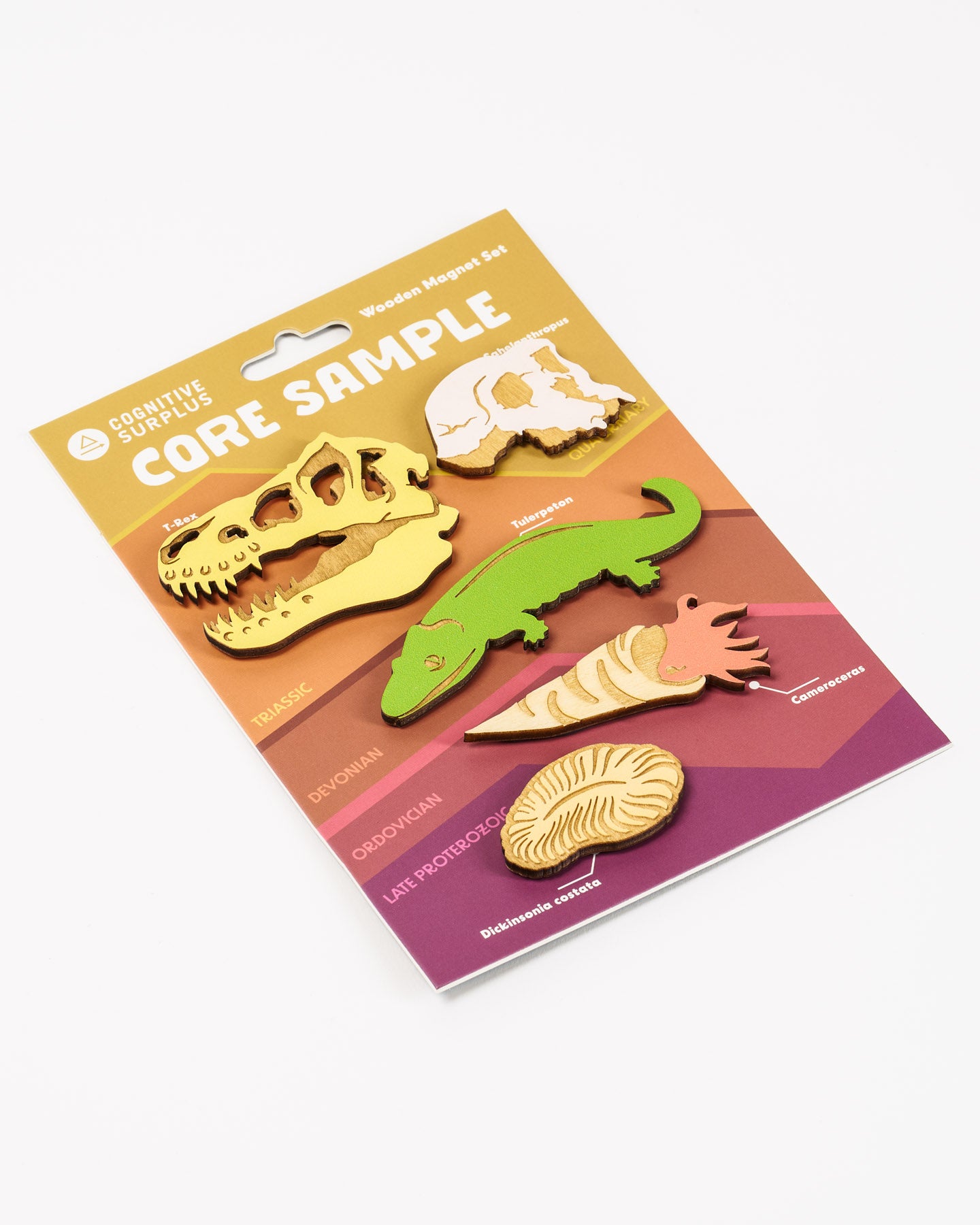 Core Sample Wooden Magnet Set