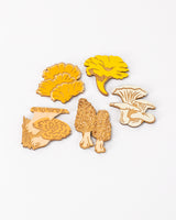 Edible Mushrooms Wooden Magnet Set